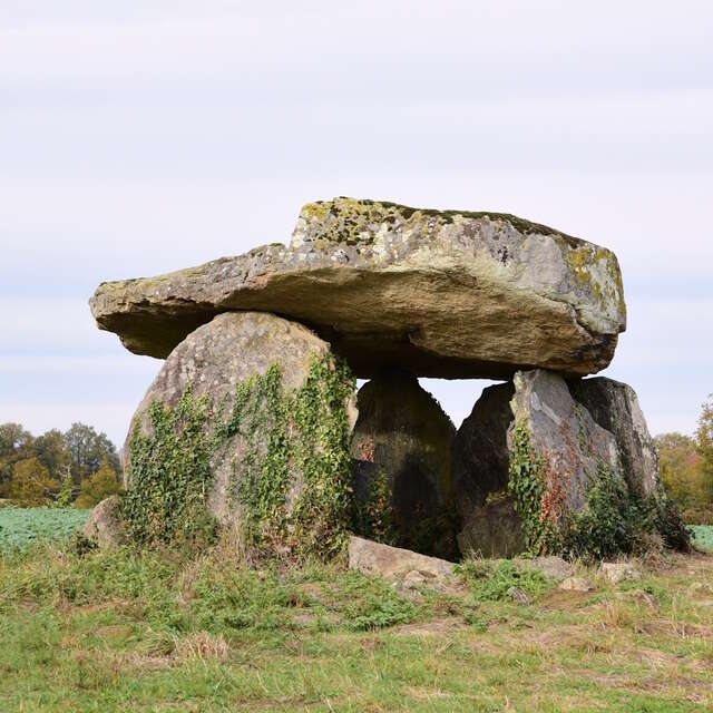 Dolmen de la Betoulle