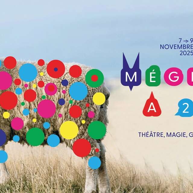 Les 20 ans de La Mégisserie