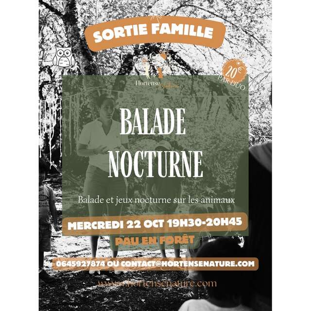 Balade nocturne nature en famille