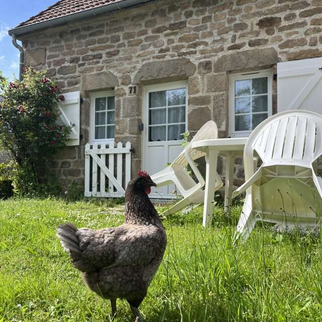 Gîte Le Fer à Cheval Vassivière 4 places