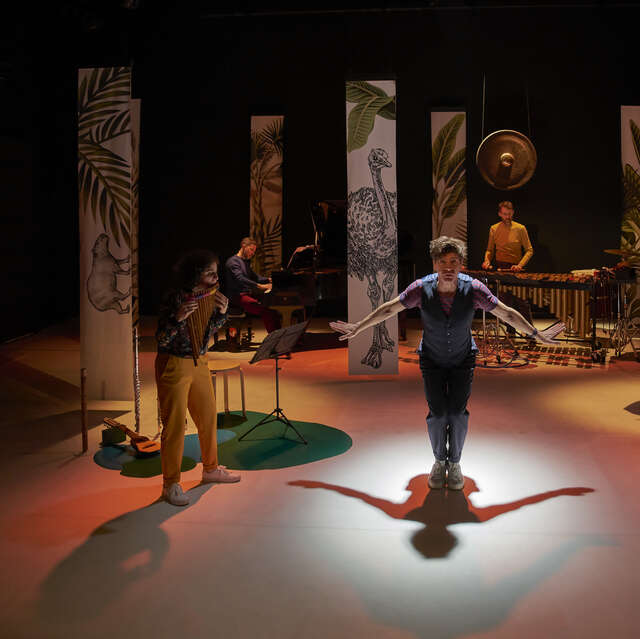 Spectacle - Le Carnaval des Animaux Sud-américains - Ensemble Almaviva