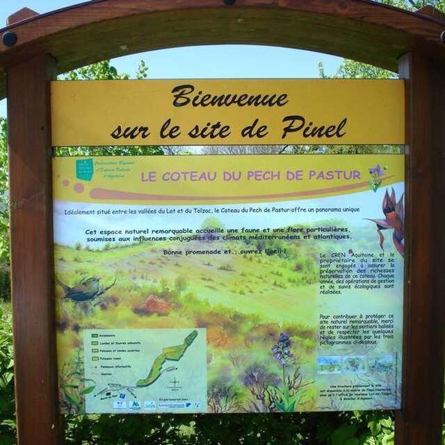 Le Coteau de Pinel