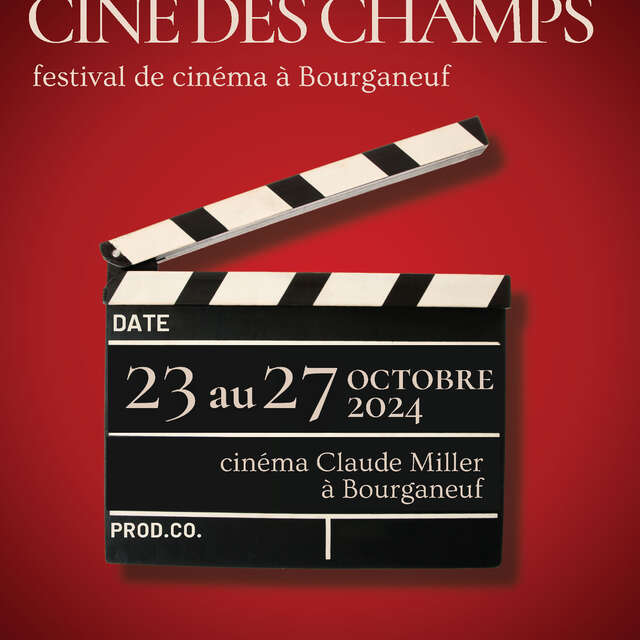 Festival Ciné des villes-Ciné des champs