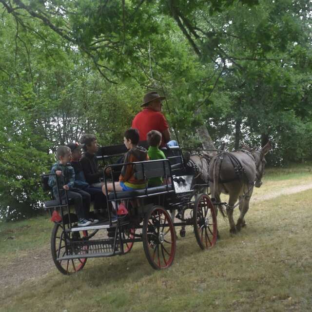 Fête de la Myrtille - 12ème édition - Lac de Vassivière