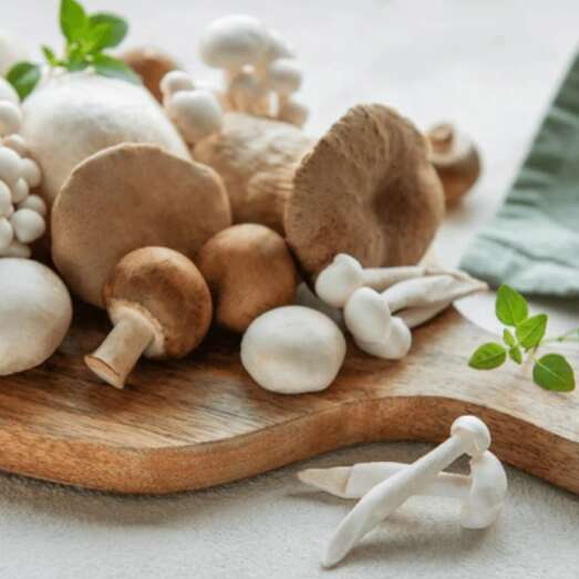 Cours de cuisine : Les champignons de nos bois