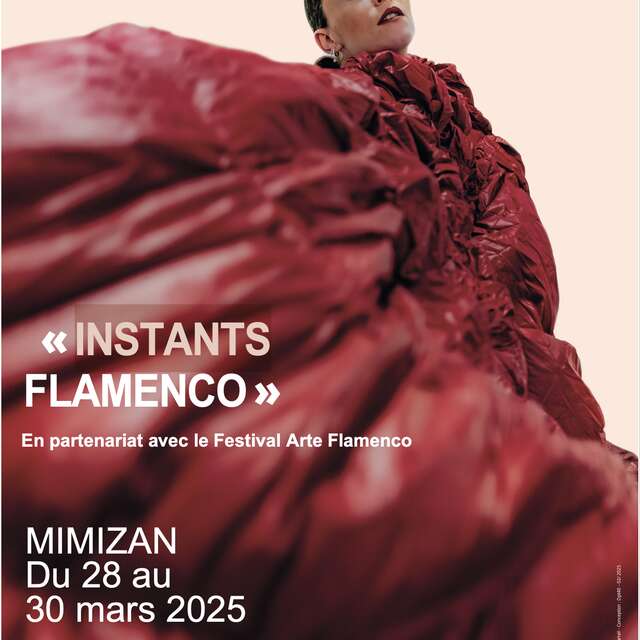 Instant Flamenco