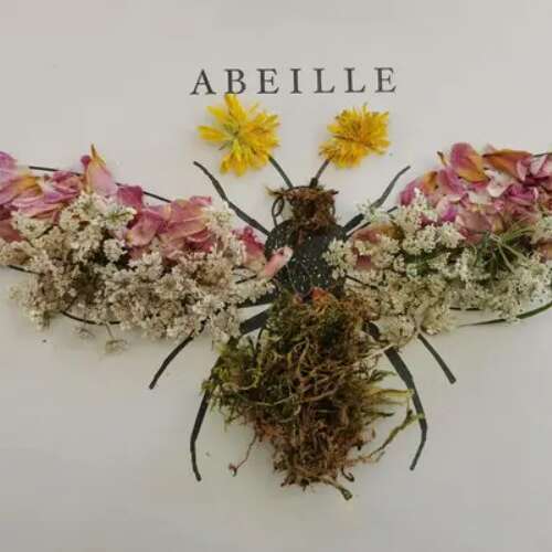 Animation Nature - Art et Nature - Limoges