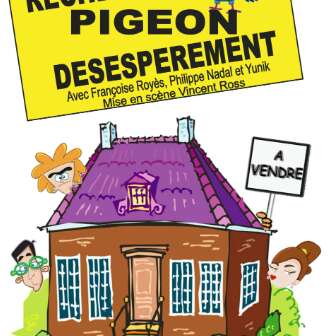 Recherche pigeon désespérément