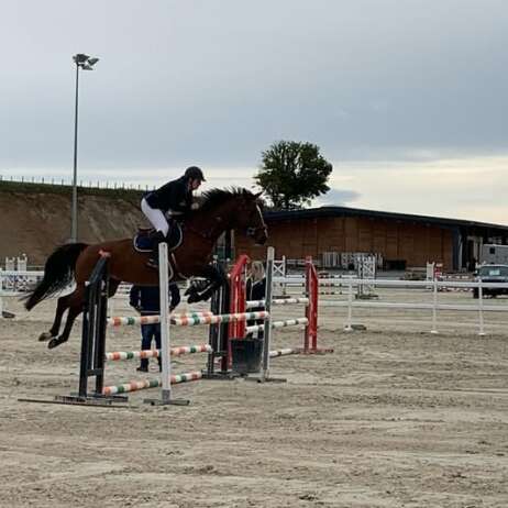 Team Equitation Limoges 87