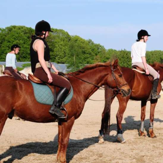 Centre équestre poney club des Vaseix