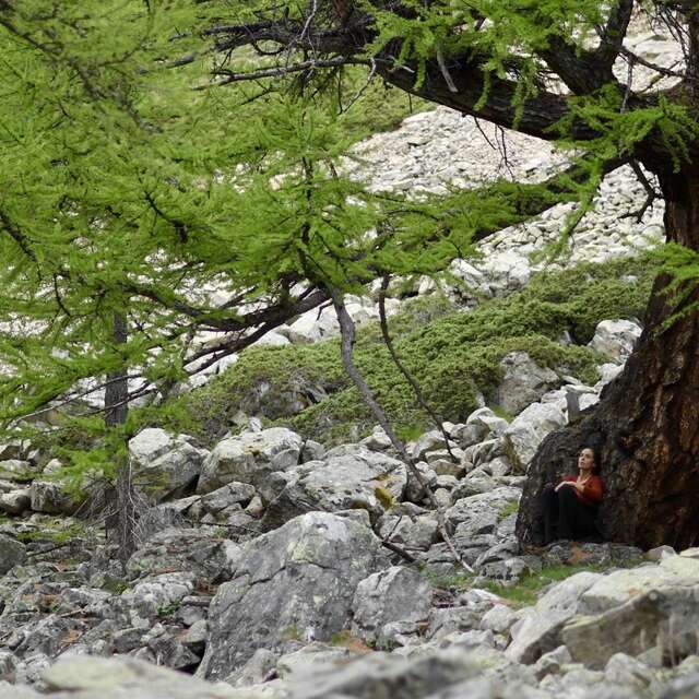 Les Rencontres de Villefavard - Caroline Audibert - Les Audionautes, à l'écoute des chants de la terre