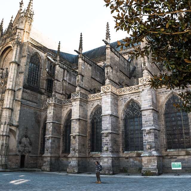 Cathédrale Saint-Etienne