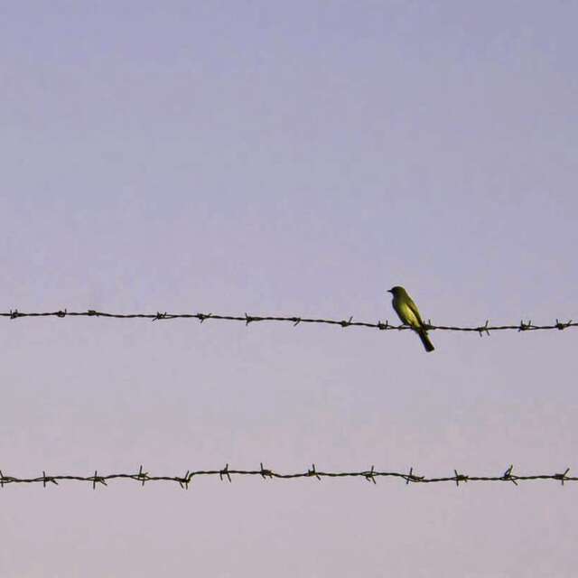 Espace Noriac - Cendrillon