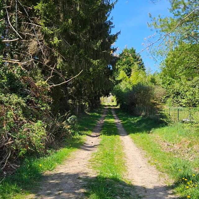 Randonnée pédestre à Saint Cyr