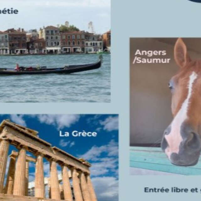 Les jeudis de la médiathèque