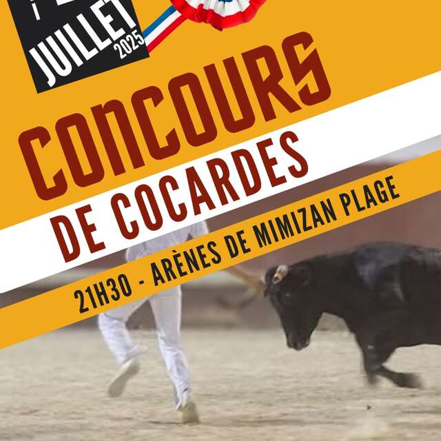 Course à la cocarde