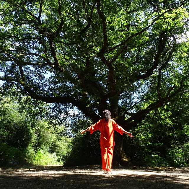 Stage de QI GONG