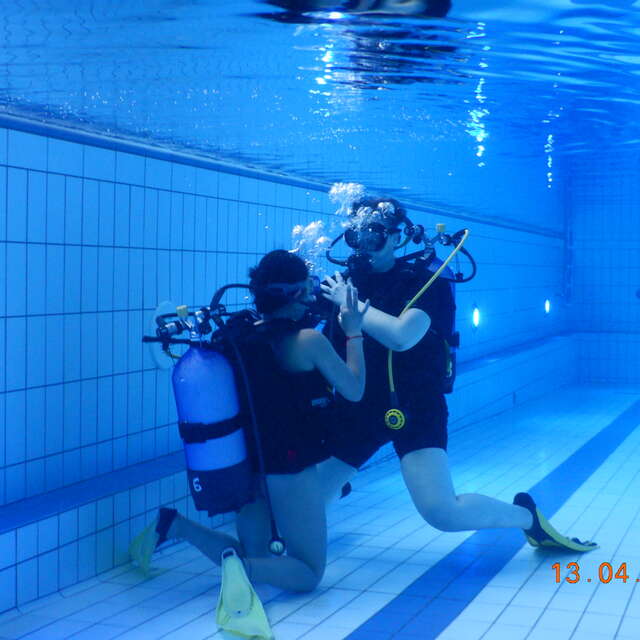 Baptêmes de plongée en piscine