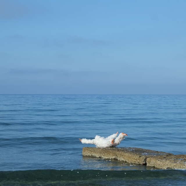 Tentative de vol - Performance de Kristina Depaulis