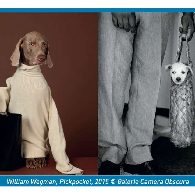 Exposition: Des chiens et des hommes