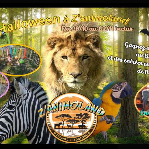 Halloween à Z'animoland