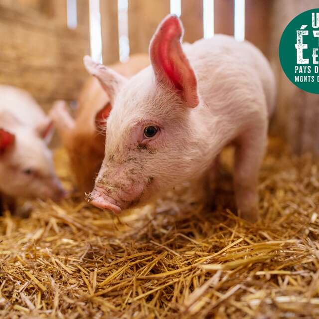 À la rencontre des producteurs - Au pré de mon arbre