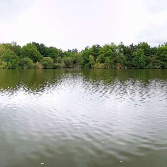 Pêche à l'étang des Bussières
