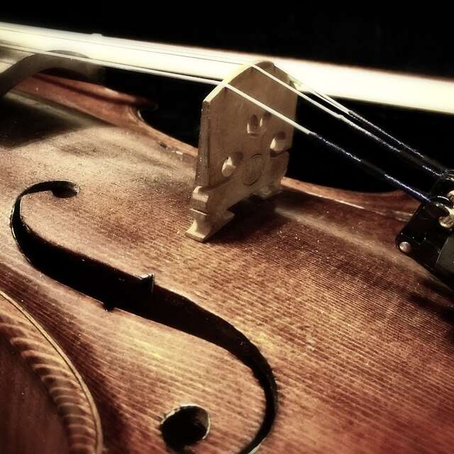 A l'opéra ce soir "Coloratura"
