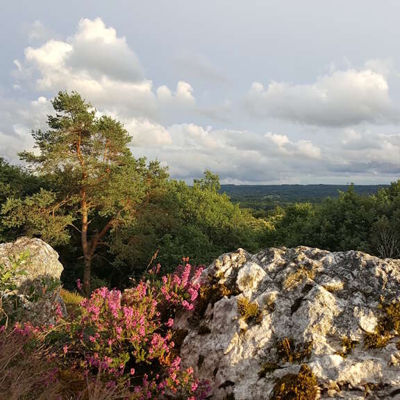 Aire de pique nique de la butte de Fochet