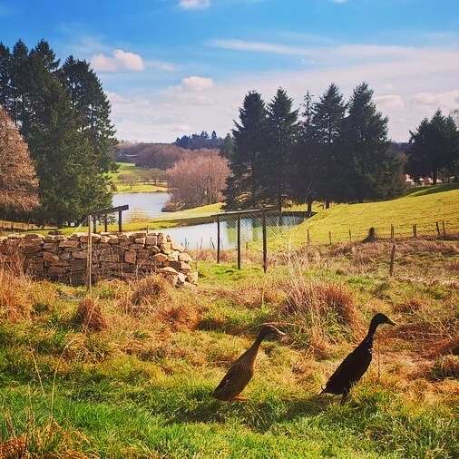 Stage Autonomie et Permaculture | Semaine en immersion