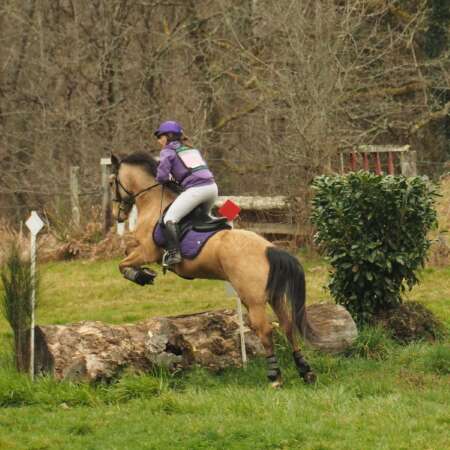 Écuries de Gigondas