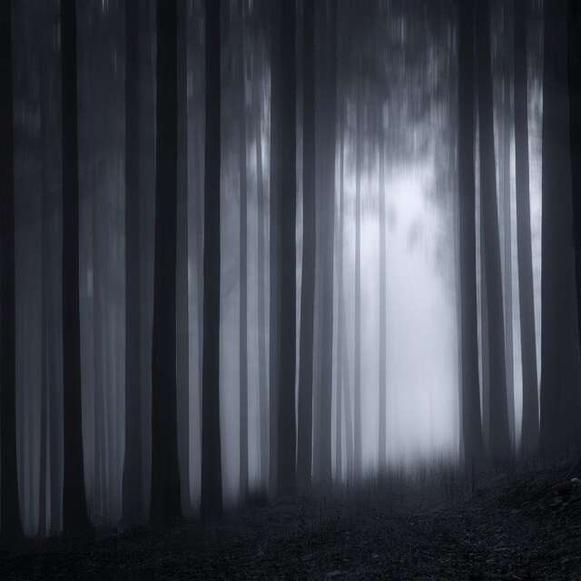 Gretel et Hansel - Collège Donzelot