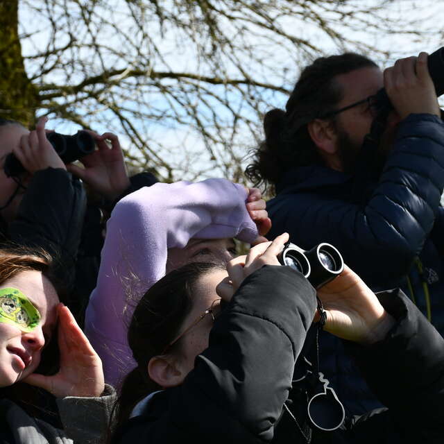 Balade matri·patrimoine - Habiter en oiseau