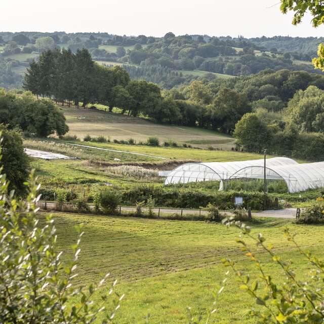 Graine de jardinier