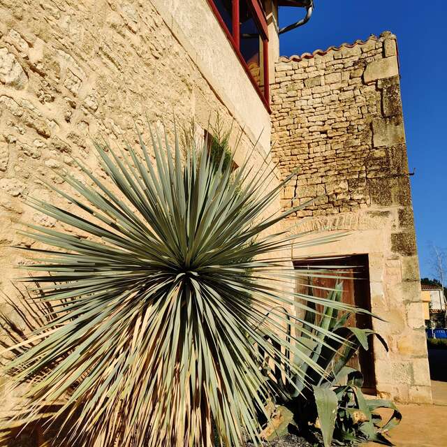 La suite Niortaise