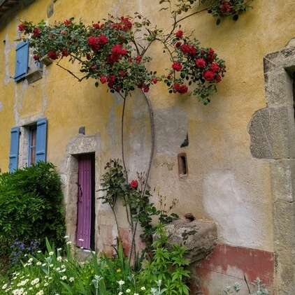 Moulin de chez Joyeux