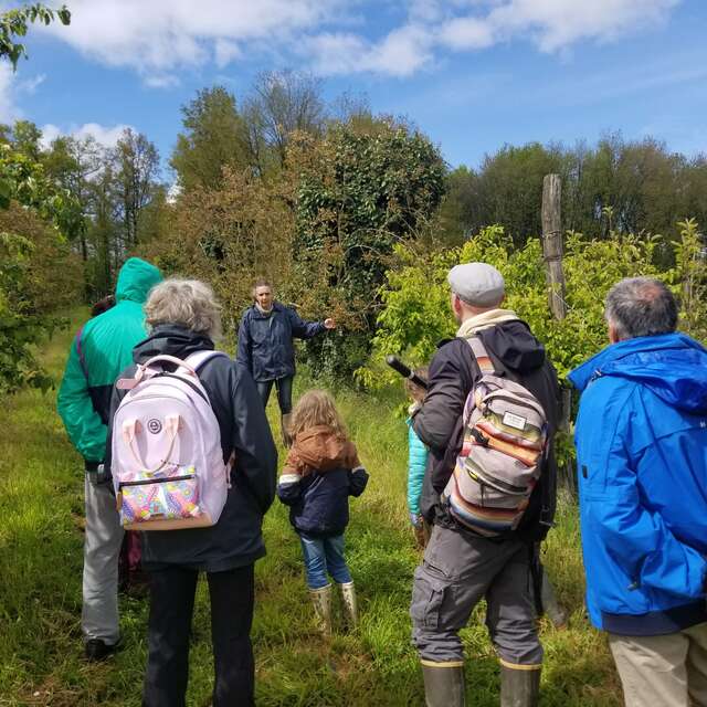 Ici, nos savoir-faire - Visite ludique du verger bio de Quinsac