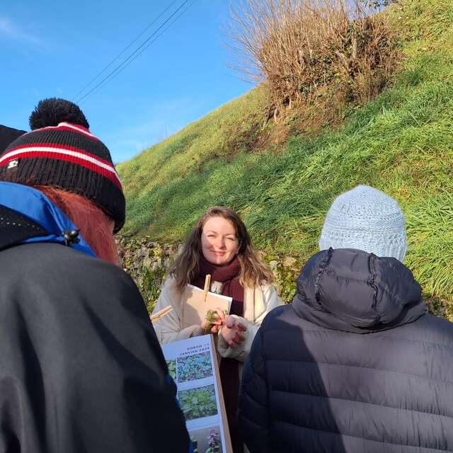 Balade comestible : Croque-Nature !