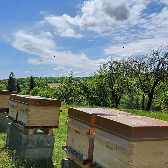 La Ferme aux Abeilles