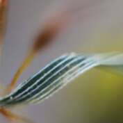 Exposition Aluna, photographies d'Isabelle Boucry  à l'Escalier