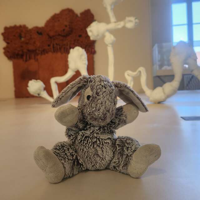 Mes Premiers pas au Musée - Je Visite avec Doudou