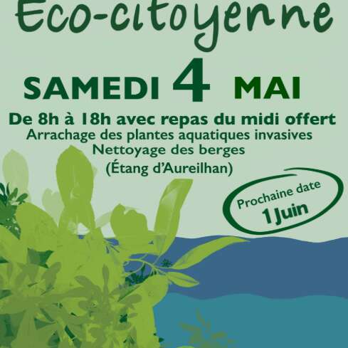 Journée Ecocitoyenne - Arrachage des plantes aquatiques invasives