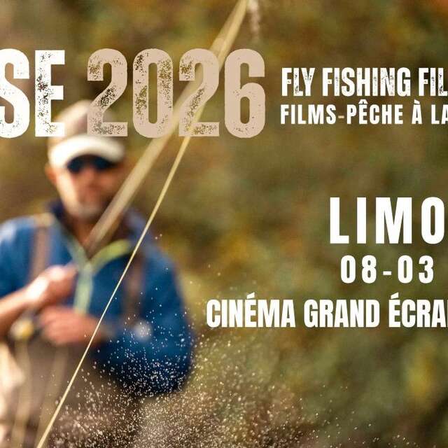 Projection du RISE Festival