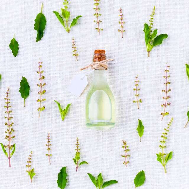 À la rencontre des producteurs : La Compagnie des Simples