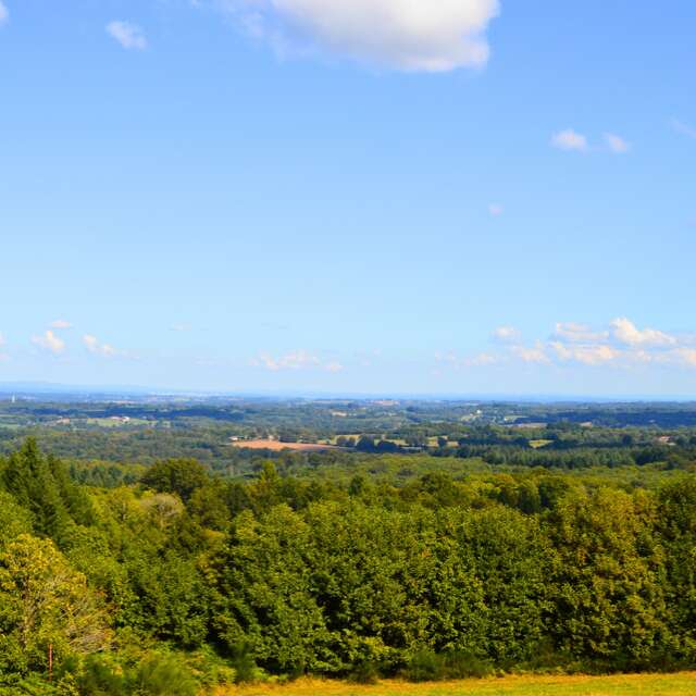 Le Grand Puyconnieux