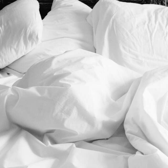 Location "Le Bonneix"