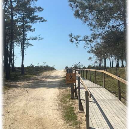 Madame Véronique MARTINEZ