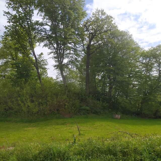Motte féodale