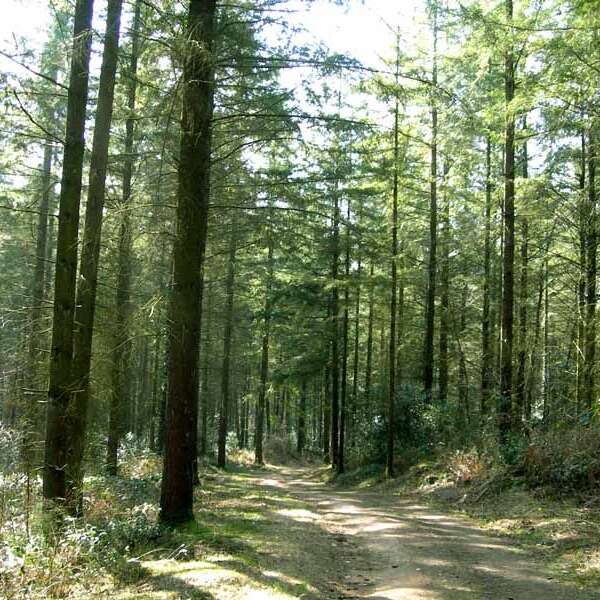 Sentier Douas Vias