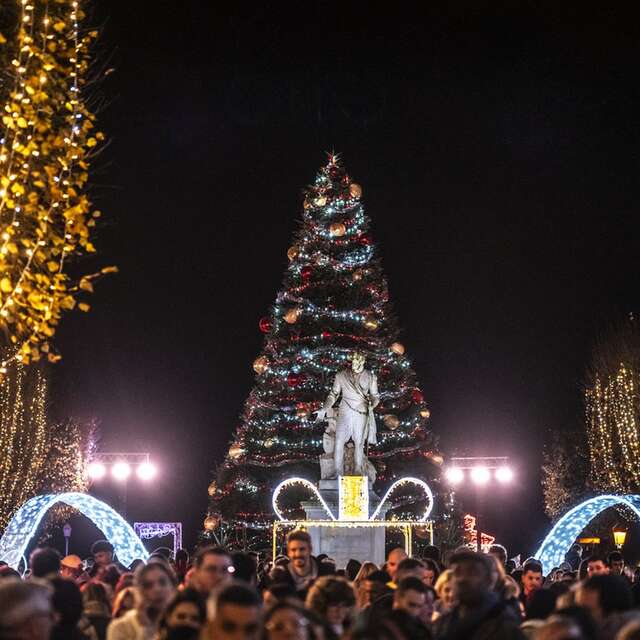 Noël à Pau - Marché de Noël- Sud de la place Royale